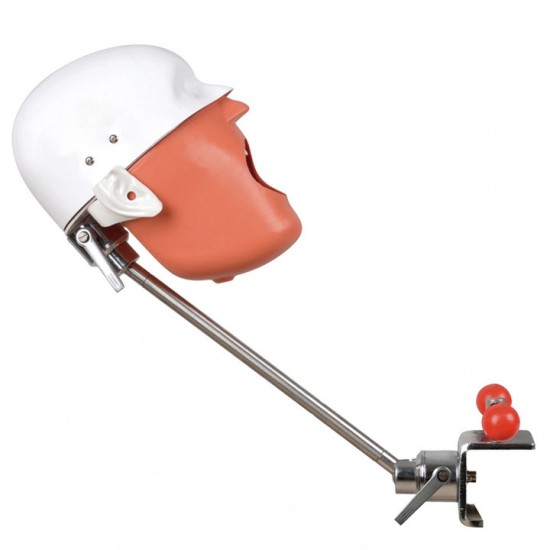 Dental Training Manikin Phantom Head Bench Mount Dental Manikin Simulator Compatible with Nissin Kilgore / Frasaco