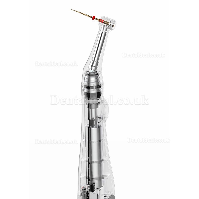 YUSENDENT COXO C-Smart Mini Cordless Endo Motor Endodontic Motor Contra-angle 1:1 Push Button