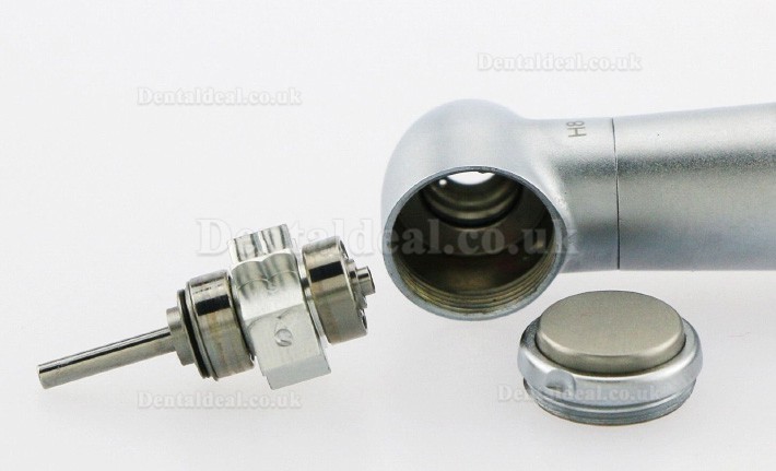YUSENDENT® COXO CX207-GW-SP Fiber Optic Handpiece With W&H Roto Quick Coupler
