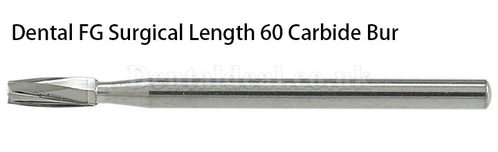 10Pcs FG Surgical Length 60 Burs Dental Friction Grip Straight Fissure Head (cylindrical) Carbide Burs 10Pcs FG Surgical Length 60 Burs Dental Friction Grip Straight Fissure Head (cylindrical) Carbide Burs
