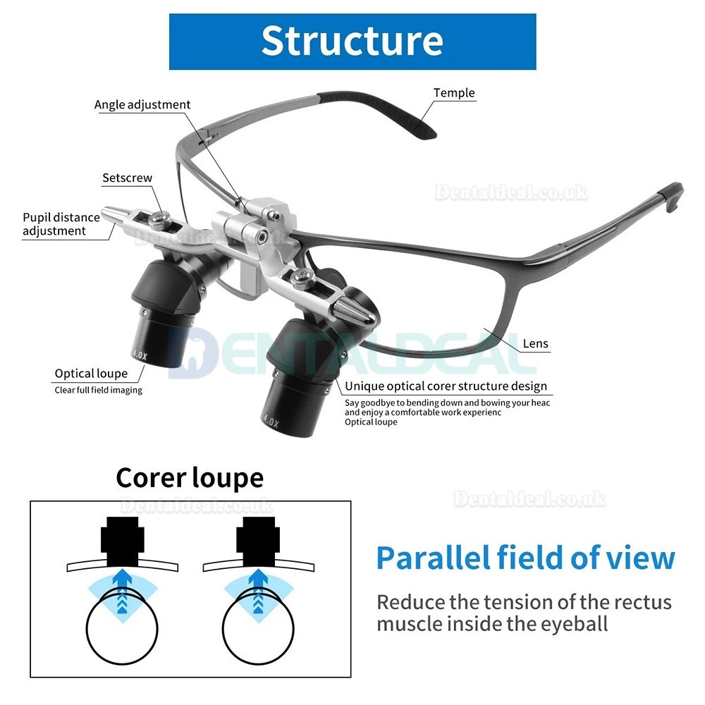 4.0X / 5.0X / 6.0X 350-450mm Ergonomic Ergo Loupe Flip-Up Dental Loupe
