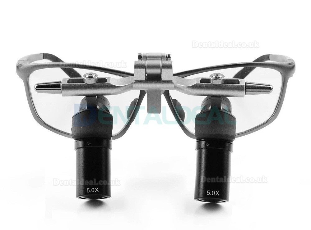 4.0X / 5.0X / 6.0X 350-450mm Ergonomic Ergo Loupe Flip-Up Dental Loupe