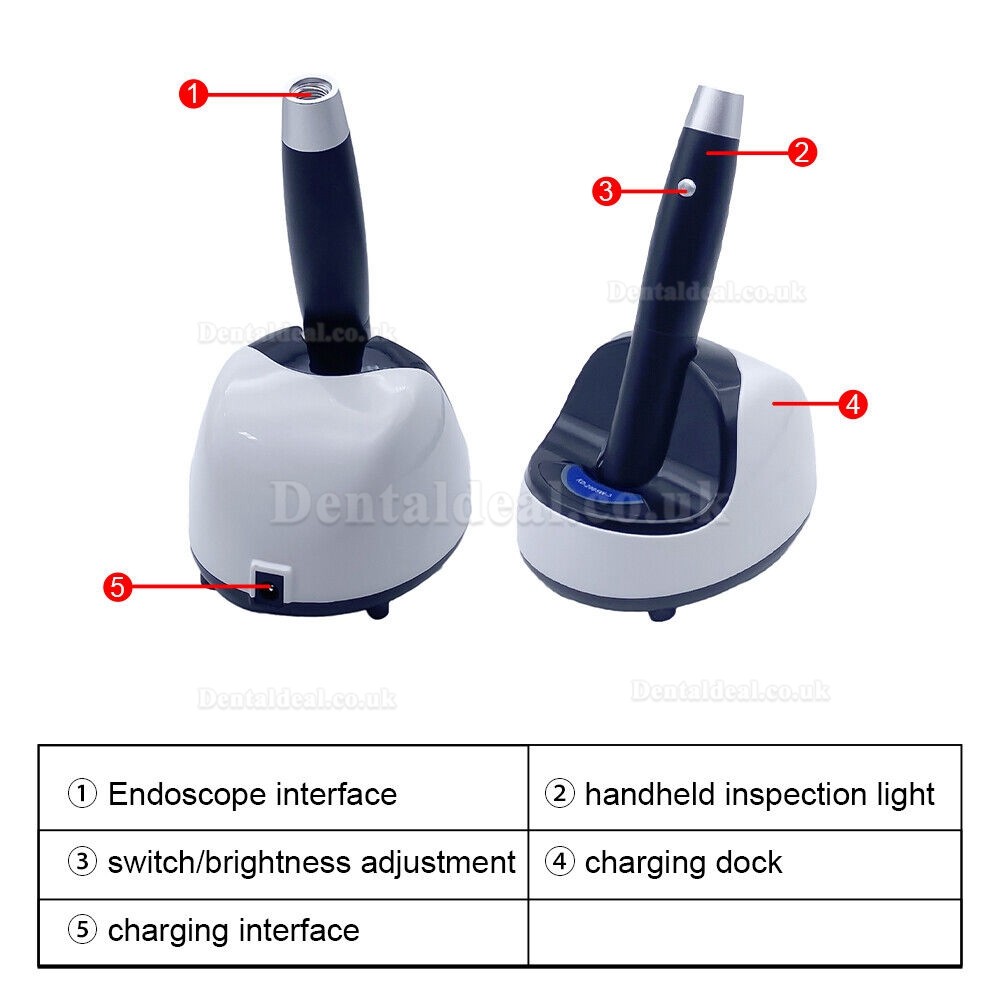 KWS KD-2005W-3 5W Handheld dental Inspection Light LED Rechargeable Portable Exam Light