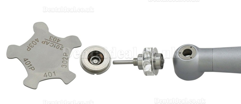 BEING Lotus 302/303PQ High Speed Handpiece NSK Phatelus Coupling 4 Hole BEING Lotus 302/303PQ High Speed Handpiece NSK Phatelus Coupling 4 Hole