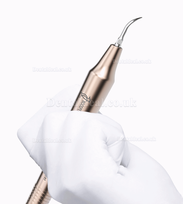 Woodpecker U600 Dental Ultrasonic Piezo Scaler with Water Bottle